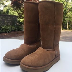 Chestnut Uggs Tall